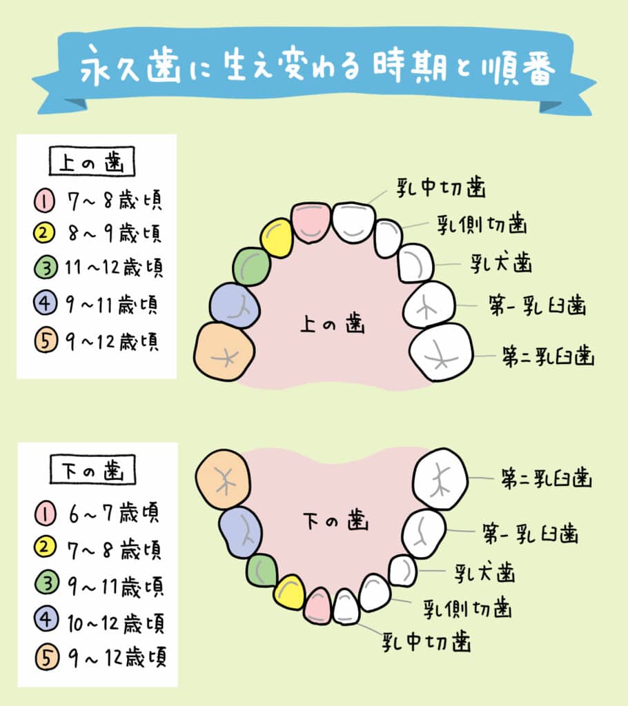 乳歯がぐらぐらしてきた_6_子供の乳歯が抜けない場合の対処法を示す教育的なイラスト