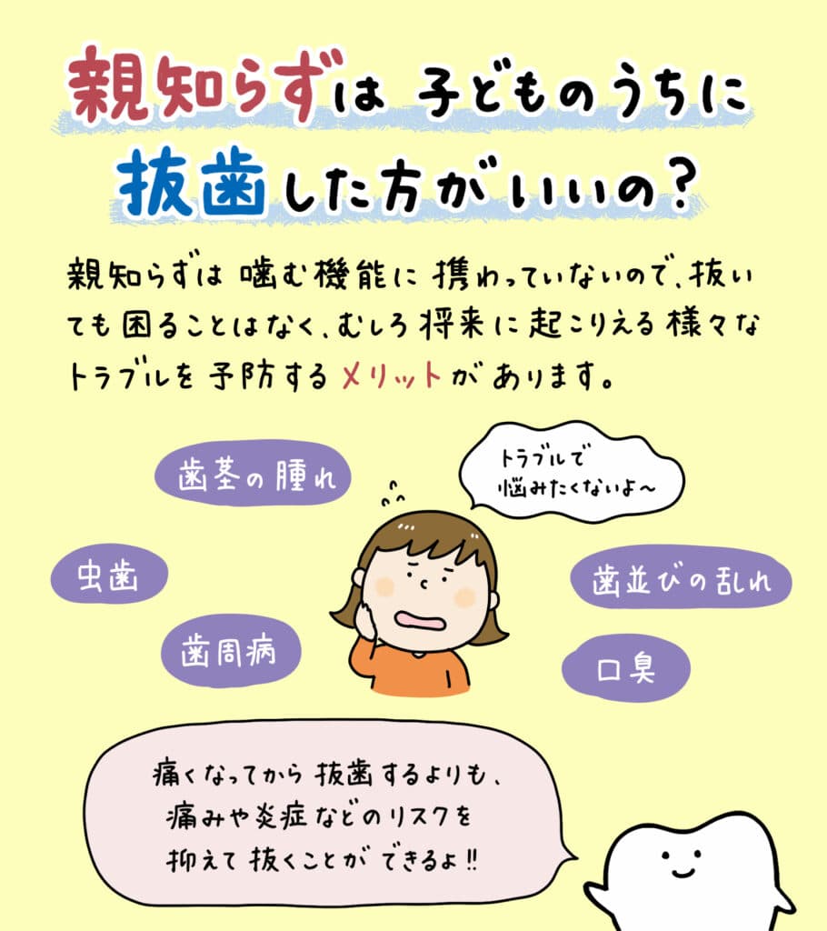 親知らずと歯並びの関係_10_親知らずが子どもの歯並びに影響するかどうか?についての解説イラスト