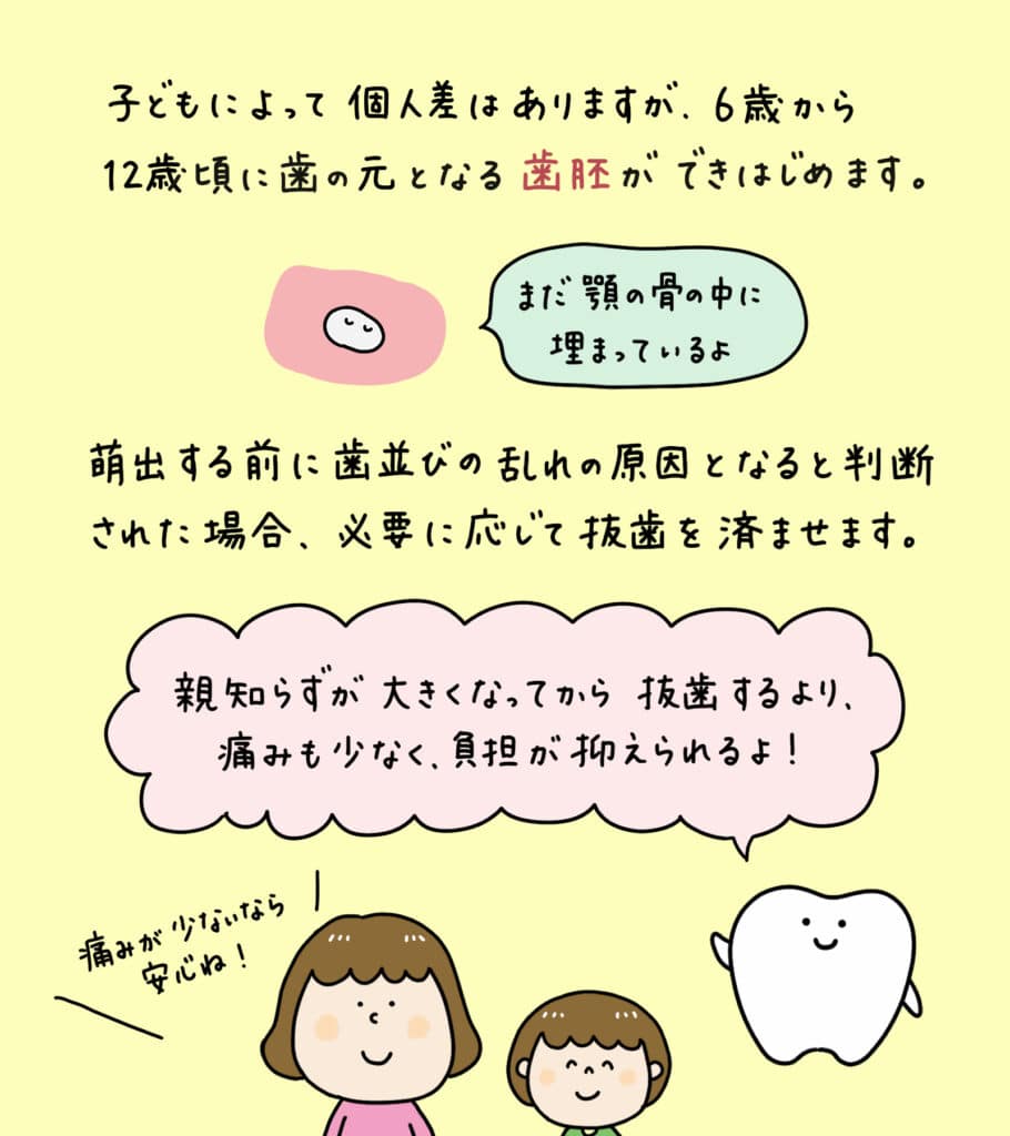 親知らずと歯並びの関係_16_親知らずが子どもの歯並びに影響するかどうか?についての解説イラスト
