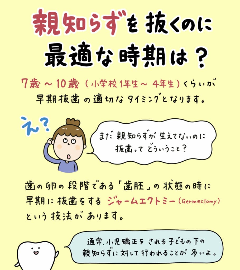 親知らずと歯並びの関係_15_親知らずが子どもの歯並びに影響するかどうか?についての解説イラスト